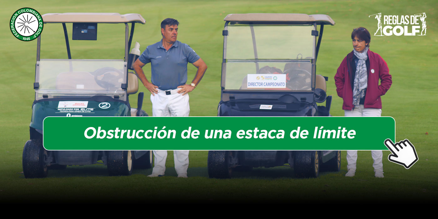 Obstrucción-de-una-estaca-de-límite.jpg